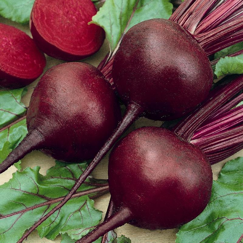 Detroit Dark Red Beets